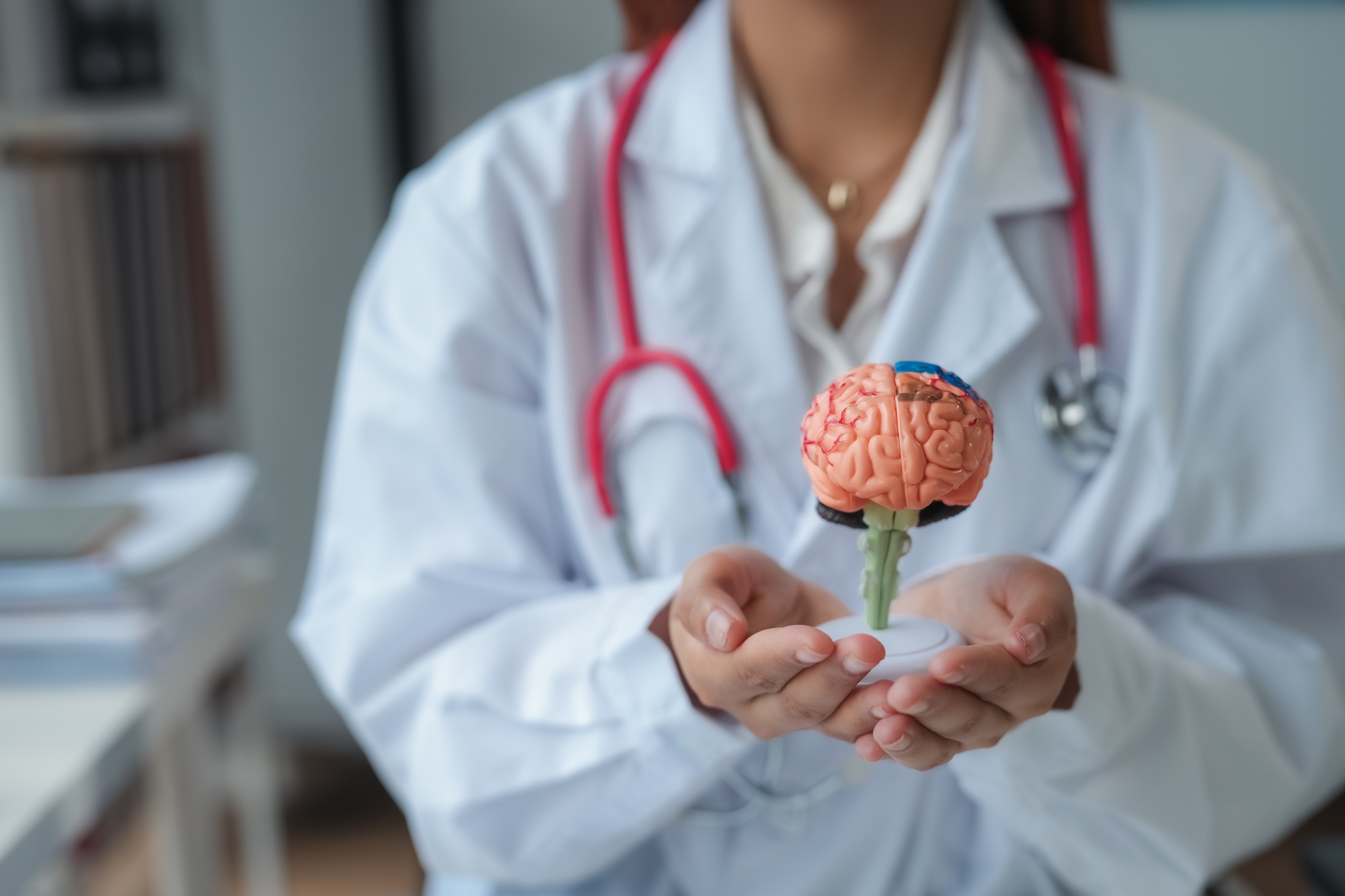 Doctor is holding a brain model in her hands, symbolizing medical expertise and neurological health